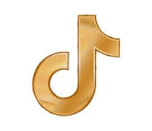 TikTok Icon